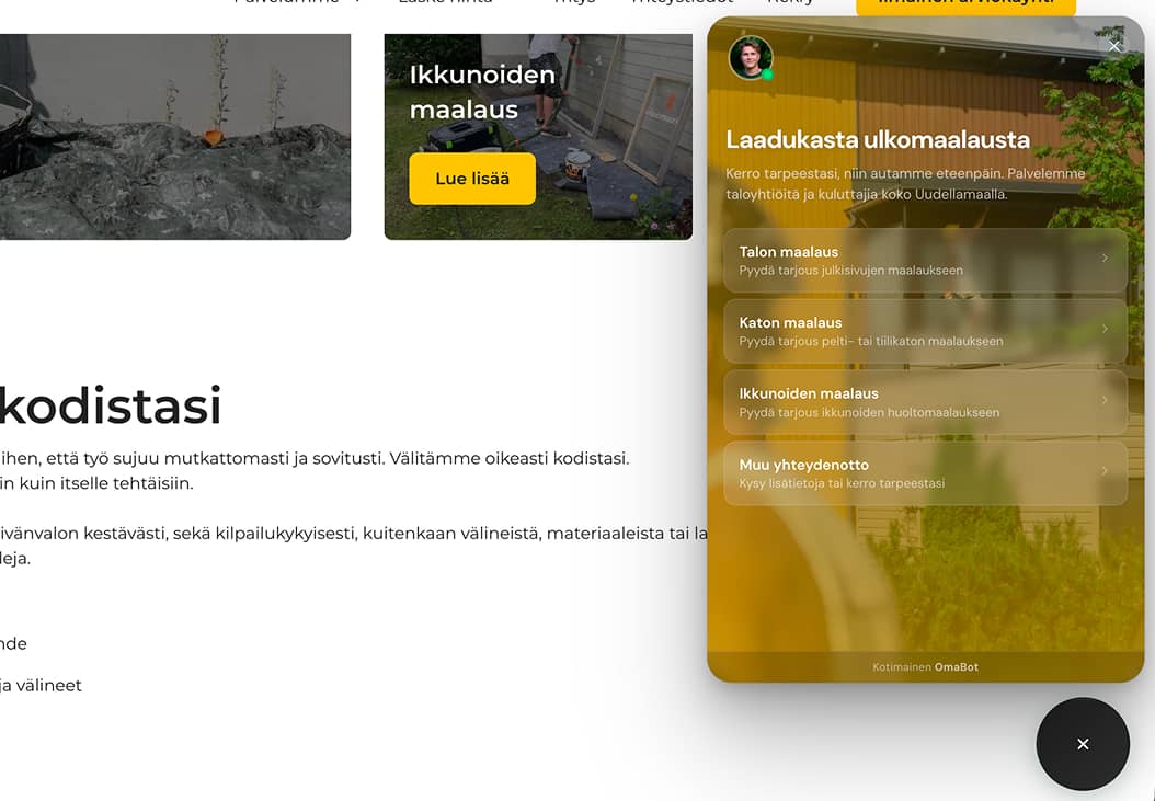 Fiksumaalaus 2